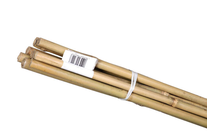 Tonkinstäbe 10er Bund